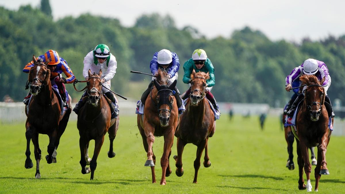 Racehorse Youth Spirit